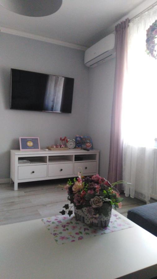 Apartament Antek Klimatyzowany Auschwitz Buitenkant foto