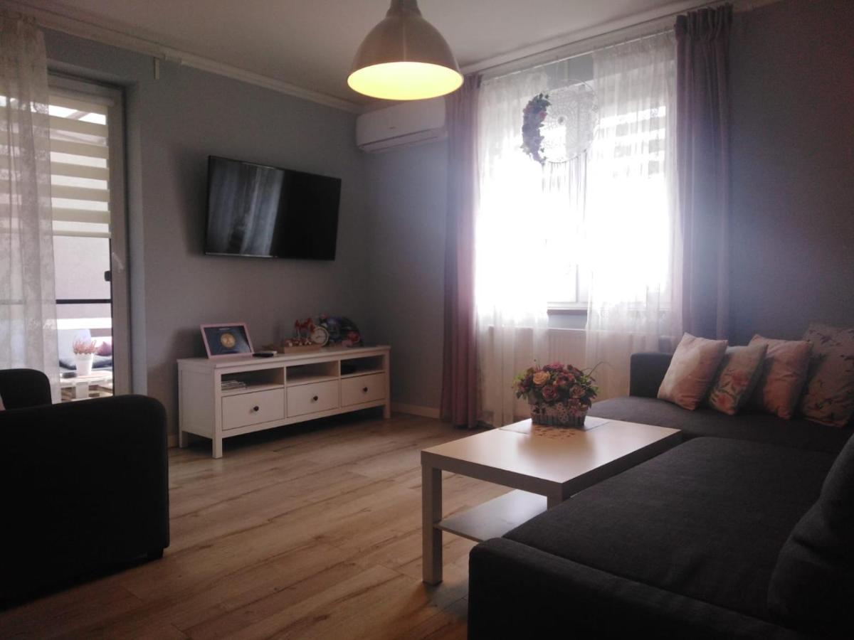 Apartament Antek Klimatyzowany Auschwitz Buitenkant foto